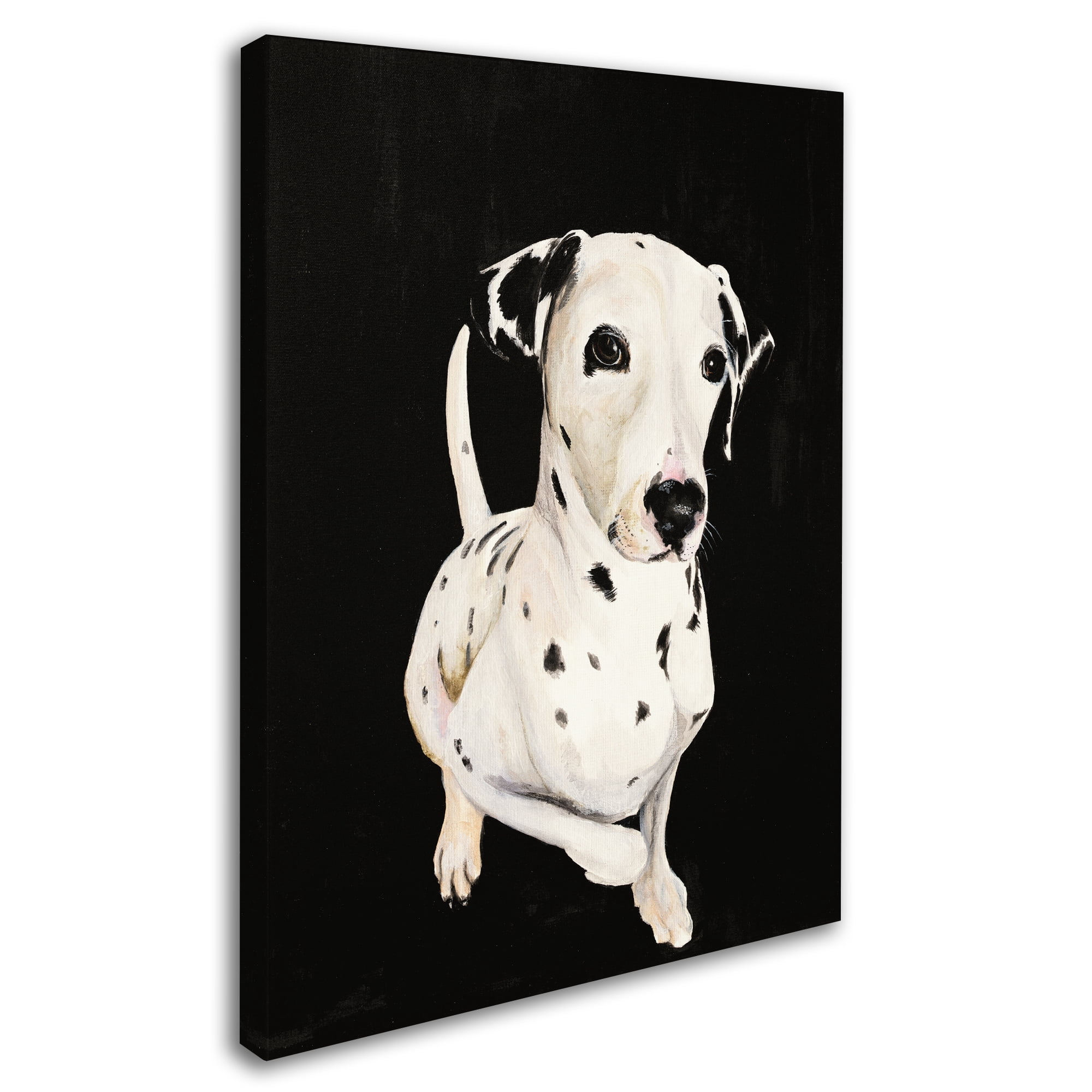 Trademark Fine Art 'Dakota I' Canvas Art by Patsy Ducklow