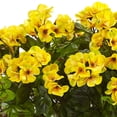 thumbnail image 2 of Geranium in Rectangular Planter UV Resistant (Indoor/Outdoor), 2 of 3