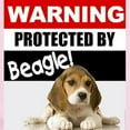 thumbnail image 2 of CafePress - Protected By Beagle Infant Bodysuit - Baby Light Bodysuit, Size Newborn - 24 Months, 2 of 4