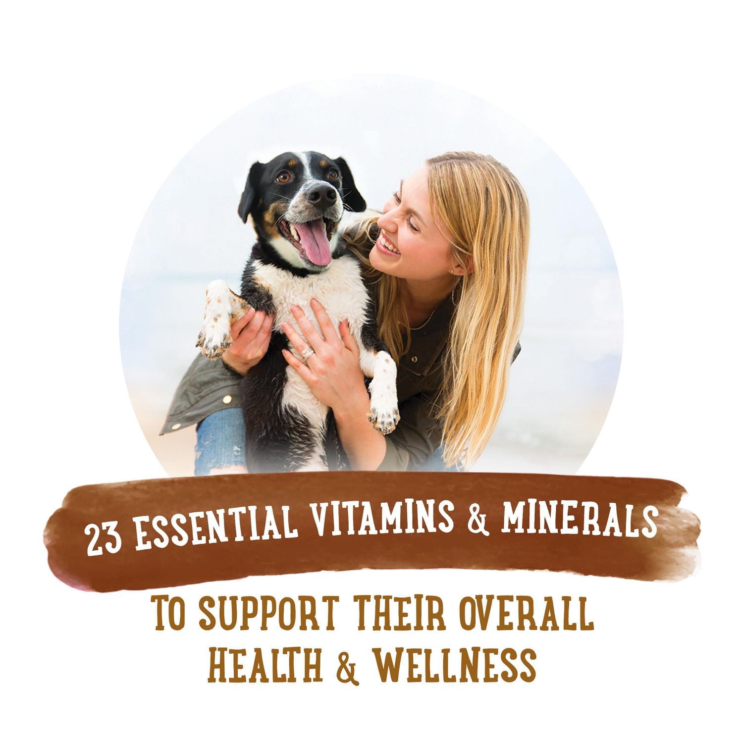 Beneful Repas Préparés Recette de Poulet Grillé, Nourriture Humide pour Chiens 283 g 283 g