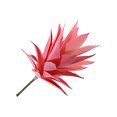 thumbnail image 1 of Bewildely ABS planta artificial no tóxica y ecológica para un entorno seguro suculentas artificiales MM907 flocado rojo Type3 NO3, 1 of 6