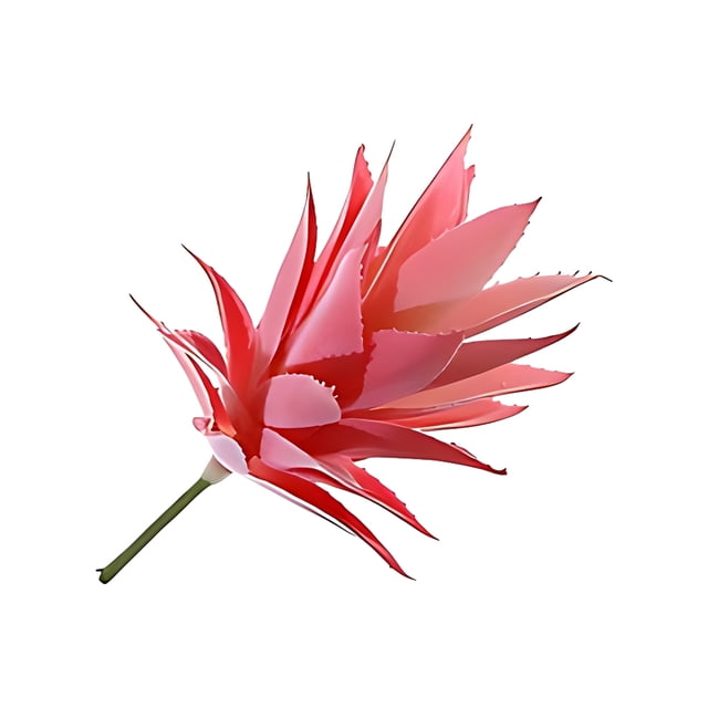 Bewildely ABS planta artificial no tóxica y ecológica para un entorno seguro suculentas artificiales MM907 flocado rojo Type3 NO3