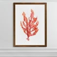 thumbnail image 2 of Coral Kelp I - Barnwood Framed - 23 x 31 - Maple, 2 of 4