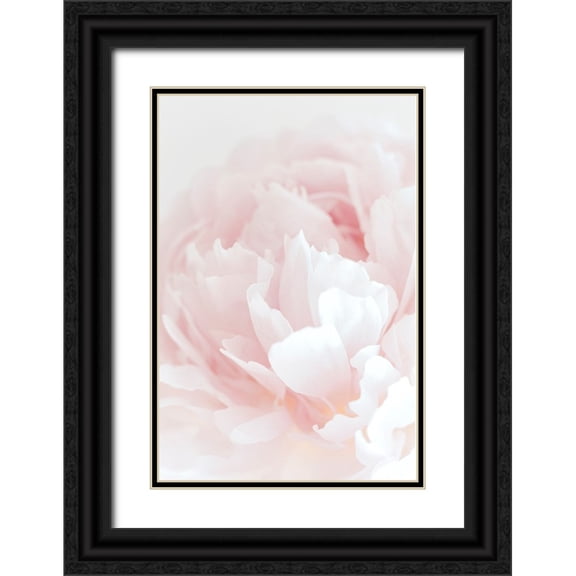 1x Studio III 11x14 Black Ornate Wood Framed with Double Matting Museum Art Print Titled - Peony 05