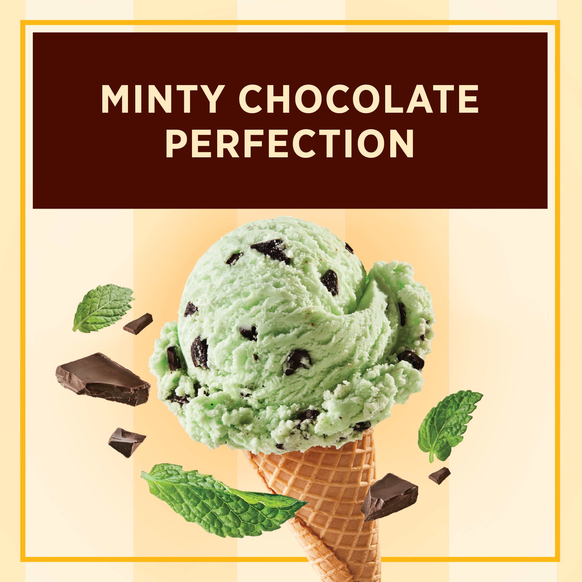 Edy S Mint Chocolate Chip Ice Cream Nutrition Facts Besto Blog