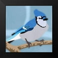 thumbnail image 2 of Prime, Marcus 12x12 Black Modern Framed Museum Art Print Titled - Majestic Blue Jay, 2 of 5
