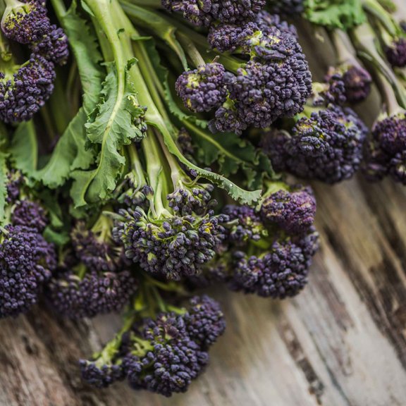 Eden Brothers Broccoli Seeds - Purple Sprouting