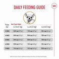 thumbnail image 5 of Nutrition Santé pour Races Chihuahua Chiot - Nourriture Sèche pour Chien 2,5 Lb, 5 of 5