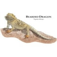 thumbnail image 2 of CafePress - Bearded Dragon Mug - 11 oz Ceramic Mug - Novelty Coffee Tea Cup, 2 of 4