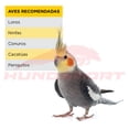 thumbnail image 2 of Premio Para Aves Kaytee Fiesta Cacahuate 85 gramos Kaytee Alimento para aves, 2 of 6