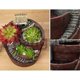 thumbnail image 4 of For Hanging Garden Potted Microlandscape Meat Plant Pots, 4 of 5