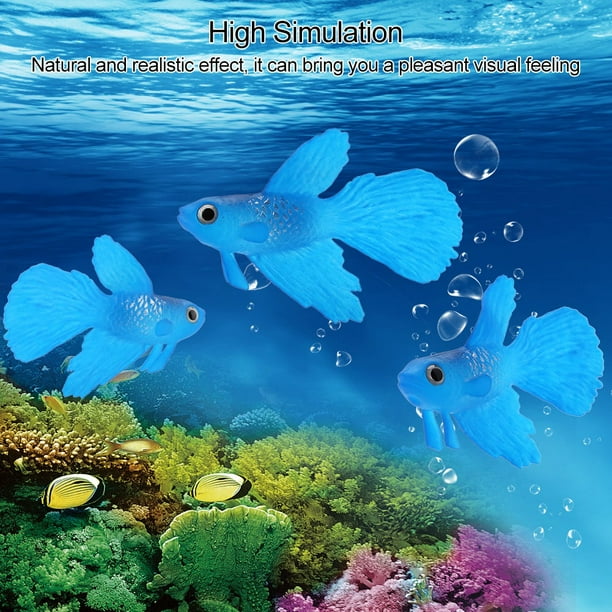 Aquarium fish hotsell at walmart