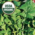 thumbnail image 4 of Ferry-Morse Organic 500MG Roquette/ Arugula Annual Vegetable Seeds, Full Sun, 4 of 11