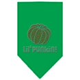 thumbnail image 3 of Halloween Pet and Dog Bandana Rhinestone, "Lil Punkin", 3 of 10