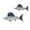 C, variant on 2Pack Ocean Beach Themed Wall Decor,3D Nautical Sailfish Decorations for Home Office Beach House,Rustic Coastal Ocean Theme Coastal Bedroom Living Room Fish Wall Art