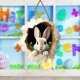 thumbnail image 2 of Letrero para puerta conejito de Pascua Madera Pascua para hogar festivo y entrada de fiesta 30 x 30 cm 6, 2 of 5