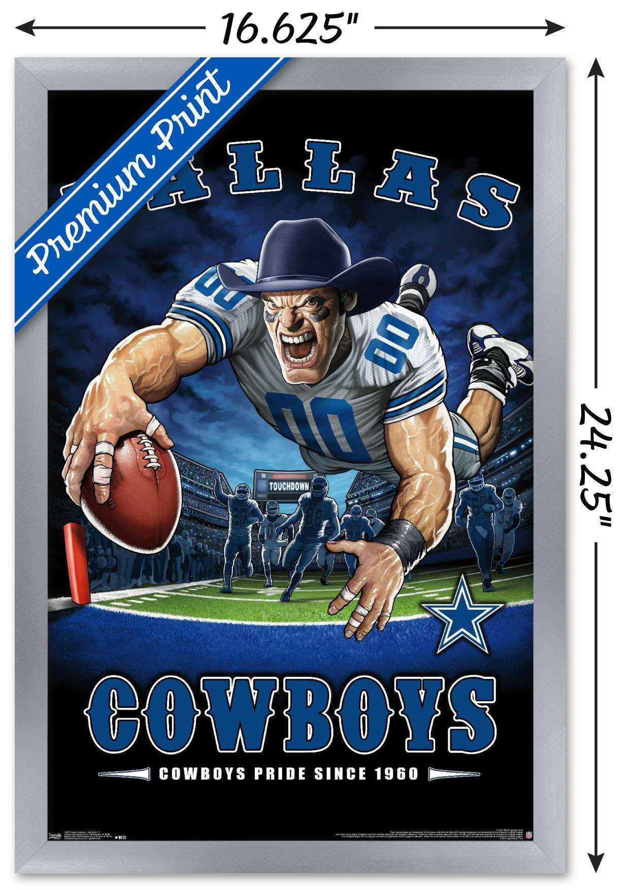 NFL Dallas Cowboys - End Zone 17 Wall Poster, 14.725" x 22.375", Framed