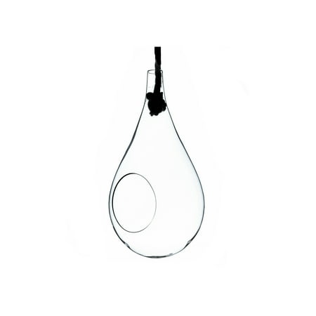 WGV Medium Rope Hanging Clear Glass Terrarium - 6" Wide x 11" Height, Good quality, Heavy Weighted Base - 1 Pc