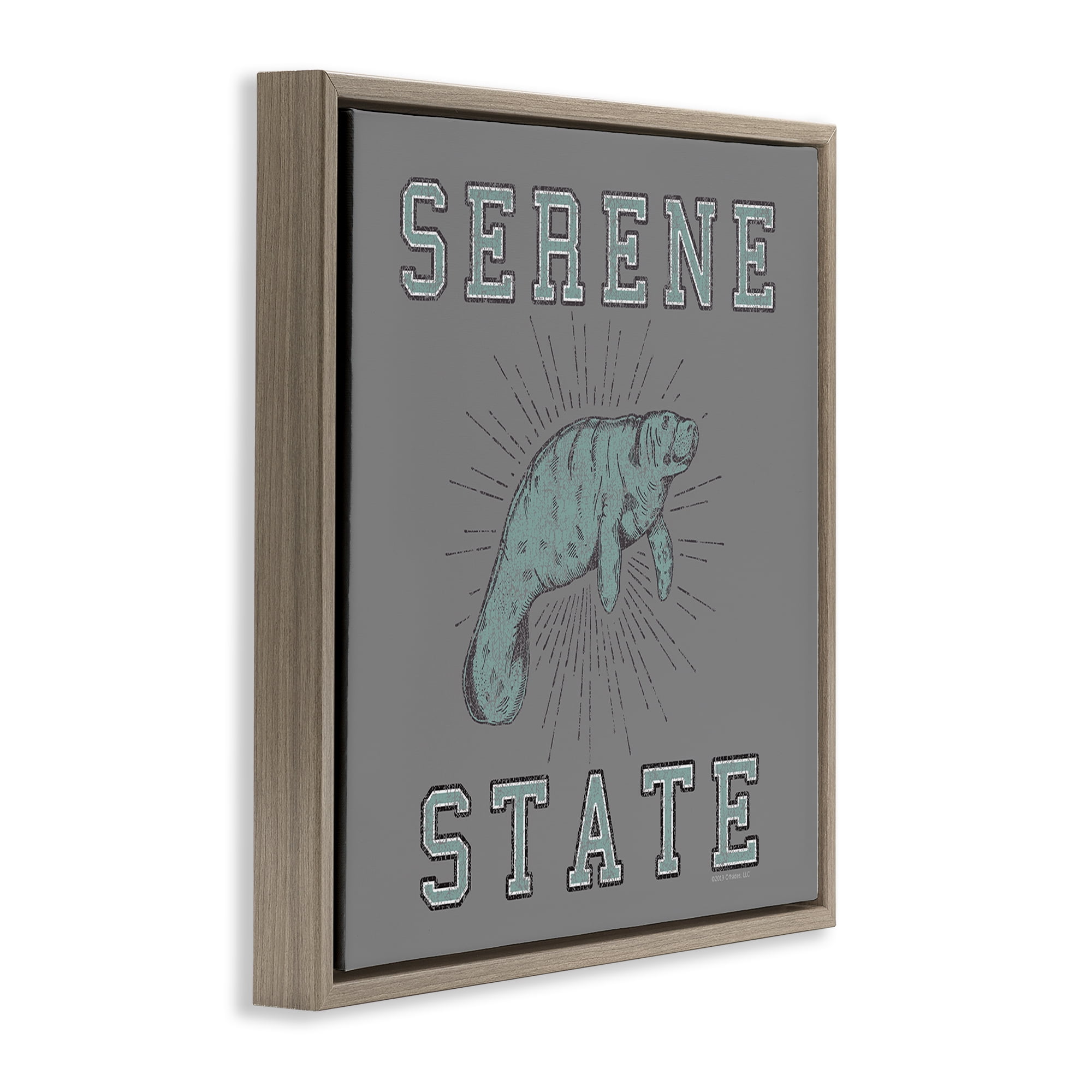 Stupell Industries Serene State Manatee Animals Painting Brown Floater Framed Canvas Art Print Wall Art, 25 x 25
