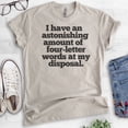 thumbnail image 2 of I Have An Astonishing Four-letter Words T-shirt, Unisex Women's Men's Shirt, Sarcastic Sassy Shirt, Light Silk Gray, X-Small, 2 of 6