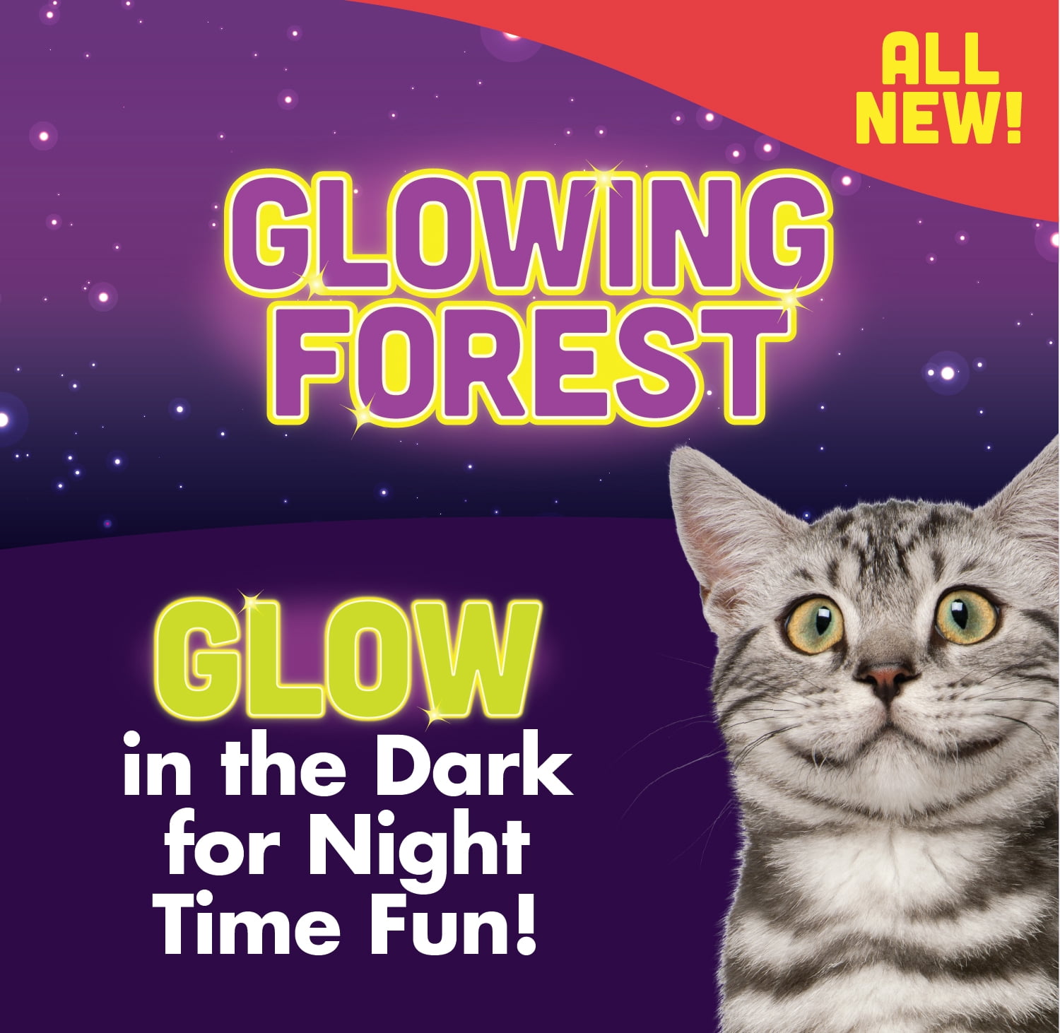 Quirky Kitty Glowing Forest Glow in the Dark Night Owl Kicker Cat Toy