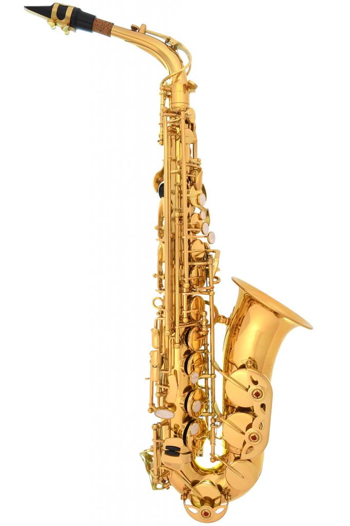 送料無料360-LN GOLD Body/Silver Keys Eb E Flat Alto Saxophone Sax Lazarro+11  Reed