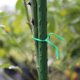 thumbnail image 4 of BR-Vie 100m Bridas de jardín para plantas, organizador de plantas de plástico, alambre de amarre de injerto para jardinería, bridas de metal multiusos (verde) esquí esquí Gafas de esquí, 4 of 5