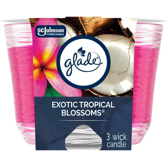 Glade® Scented Candle Air Freshener, Exotic Tropical Blossoms, 3-Wick Candle
