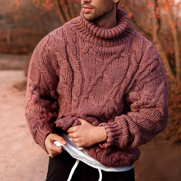 Men Winter Warm Roll Turtle Neck Pullover Top Sweater Thick Cable