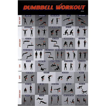 Workout Poster - Dumbbell Exercise Poster Laminated Free Weight ...