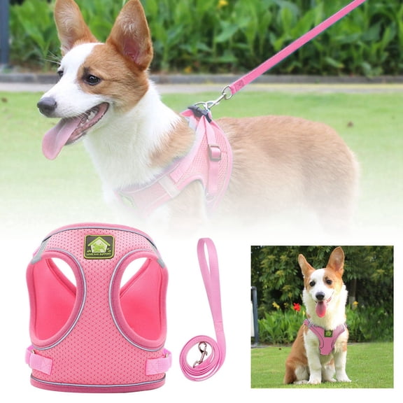 Happy Pet! Pet Harness Reflective Breathable Dog Leash Puppy Harness Pet Supplies Outdoor Pet Play Traction Pet Clothes Birthday Gift For Pet Dog Cat L
