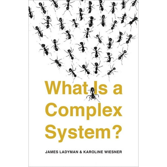 What Is a Complex System? (Paperback)