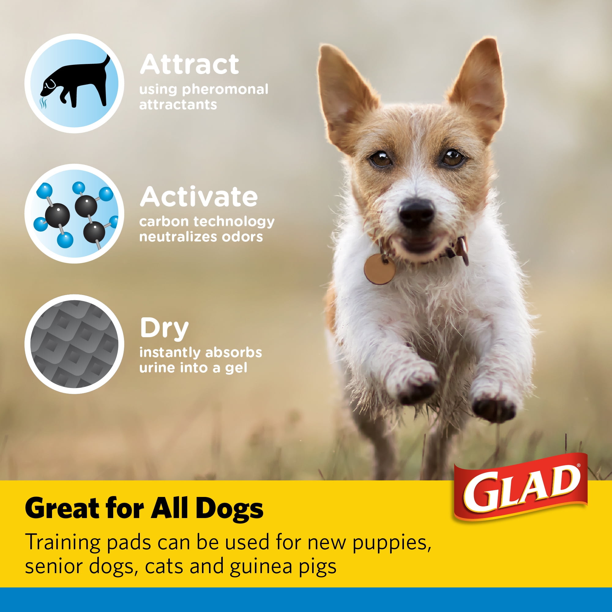Glad for Pets Charcoal Odor Absorbent Puppy Training Pads, 150 Ct