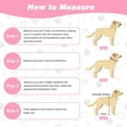 thumbnail image 4 of XINQIHANG Soft Dog Cone Alternative After Surgery, Comfortable Adjustable Dog Recovery Collars & Cones, Waterproof Elizabethan Donut Collar for Small Dogs to Stop Licking, 4 of 7