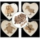 thumbnail image 4 of Rodajas de madera portátiles para manualidades, bloques sin terminar, rodajas de madera, bonita madera 50pcs Oblique Head, 4 of 8