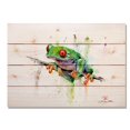 thumbnail image 1 of Day Dream HQ DCTF2014 20 x 14 in. Tree Frog Wall Art, 1 of 1