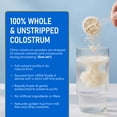 thumbnail image 4 of Physician's Choice Colostrum Gold Powder - for Gut & Immune Health - Whole & Unstripped - 60 Servings, 4 of 7