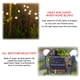 thumbnail image 3 of Luces solares para jardín JURASNOW, 8 LED, 4 unidades, impermeables, color blanco cálido, 3 of 5