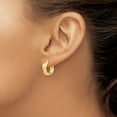 thumbnail image 3 of Primal Gold 14 Karat Yellow Gold 5mm Hoop Earrings, 3 of 4