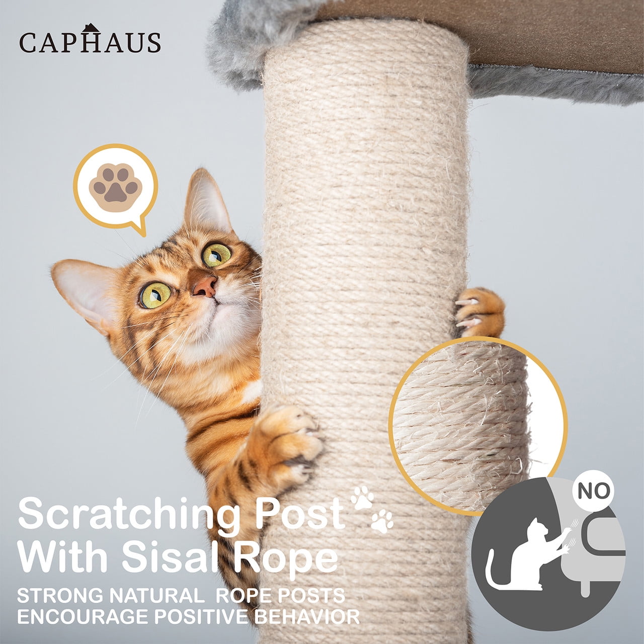 CAPHAUS Tall Cat Tree for Indoor Cats, Modern Cute 58-Inch Cat Climbing Play Tower with Top Perch for Large Cats Kittens, Multi-Level Cat Activity Tree w Scratching Posts, Hammock, Cat Cave Condo