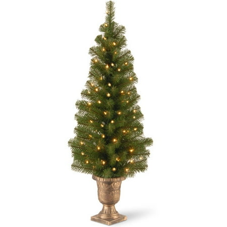 National Tree Pre-Lit 4' Montclair Spruce Entrance Tree with 50 Clear lights