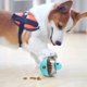 thumbnail image 4 of Bola de alimentación Pet Puzzle | Vaso interactivo Perro Gato Juguete | Dispensador de golosinas con fugas para comer lentamente | Enriquecimiento de la estimulación mental | Plástico ABS duradero, 4 of 6