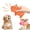C, variant on Qocolcyl Cute Pig Grunting Squeaky Latex Dog Chew Toy, Squeeze Sound Pig Shape Puppy Teething Toy, Durable Soft Latex Interactive Play Toy For Small Medium Large Dogs Indoor Outdoor Dog Toys