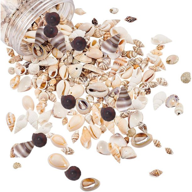 Conchas marinas en espiral de playa mixtas de 175 g, 10 estilos, con o sin perforar, dijes artesanales naturales de concha pequeña con agujero