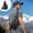 Black, variant on Casual Crossbody Shoulder Sling Bag | Durable Nylon with Spandex Accents | Ergonomic Adjustable Strap | Fits 7.9" Tablets | Multi-Pocket | 30x17x5cm | Unisex | 1-Pack