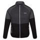 thumbnail image 1 of Regatta - Chaqueta Softshell Yare VII para Hombre (Negro, Gris Seal), 1 of 4