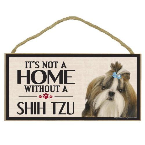 Imagine This Wood Wall Sign For Coton De Tulear Dog Breed Lovers