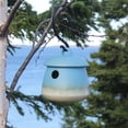 thumbnail image 3 of Return Bird Home Blue, 3 of 3