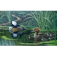 thumbnail image 2 of Goebel, Wilhelm 14x10 White Modern Wood Framed Museum Art Print Titled - Merganser, 2 of 4