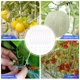 thumbnail image 5 of Conjunto de Clips para enrejados herramientas flexibles de jardinería para soporte Ehuebsd de plantas fruta cereza, 5 of 9